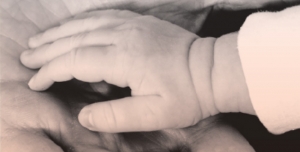 Delegação de Espinho da Cruz Vermelha Portuguesa doa fraldas aos mais carenciados